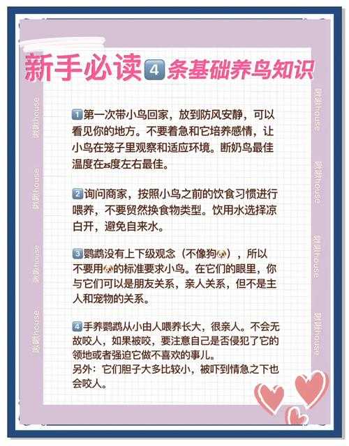 2025年新手如何科学挑选宠物鸟 这份指南请收好