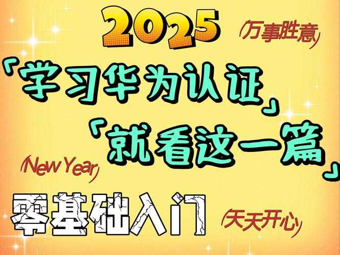 2025年新手必读 从青铜到王者 我亲测有效的五维成长指南