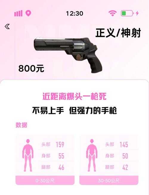 2025年新手玩家武器选择指南 含实战数据对比