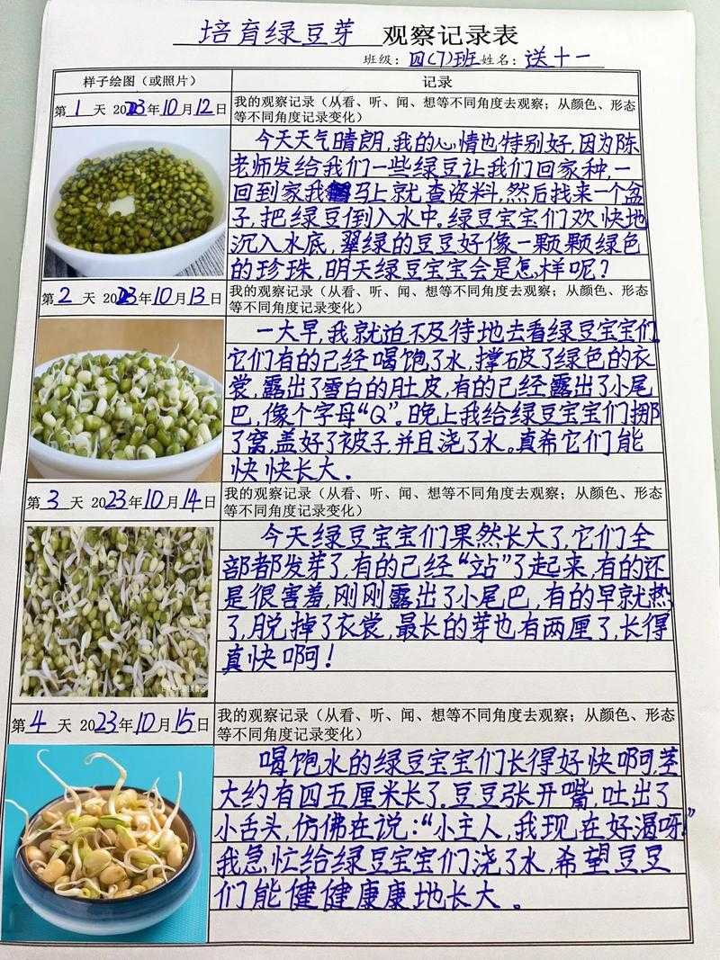 2025年新版小学语文教材观察手记