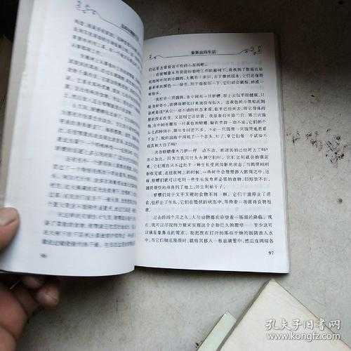 2025年新网游社区生态观察手记