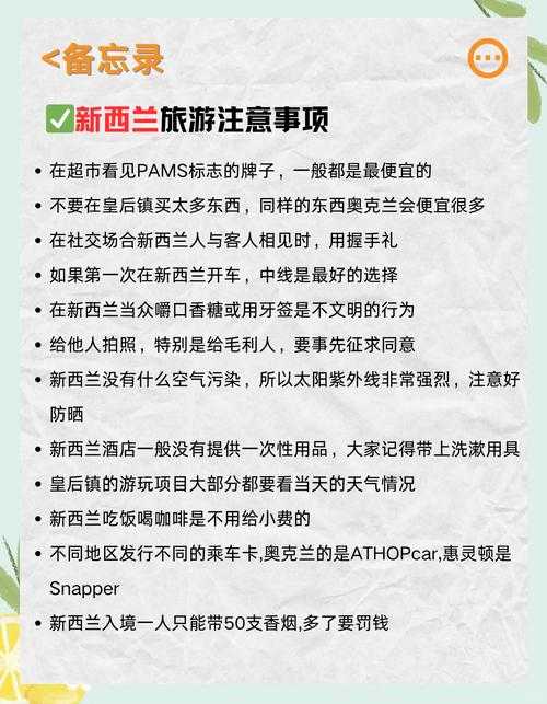 2025年新西兰网游进阶指南 从角色塑造到社区社交的完整攻略