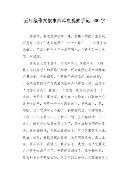 2025年旅行观察手记 在流动中寻找生命的答案