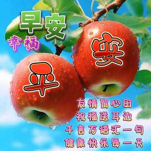 2025年早安表情包创作全攻略 从数据到实操的完整指南