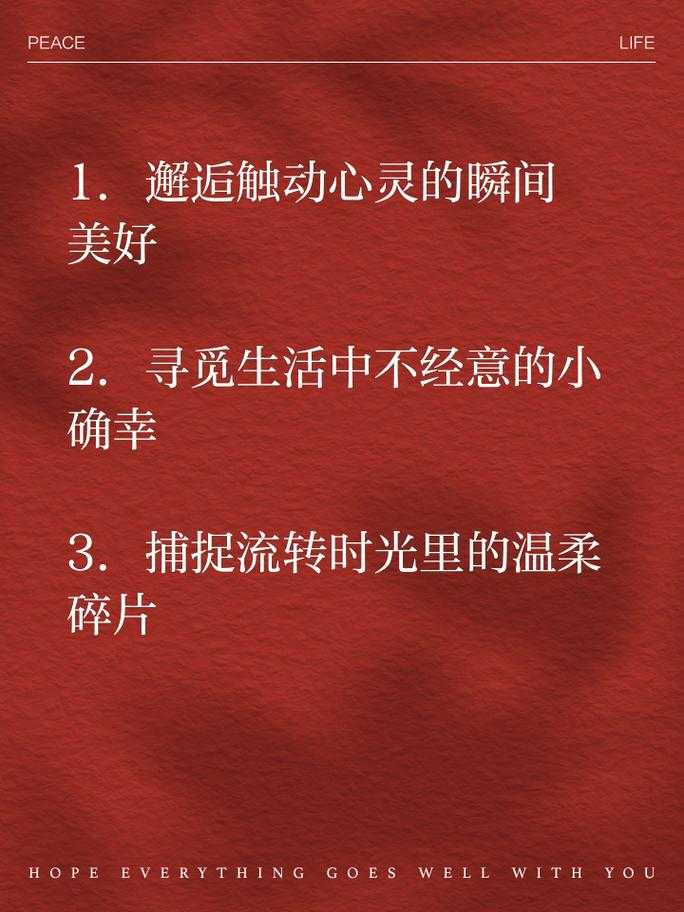 2025年时光里的温柔碎片