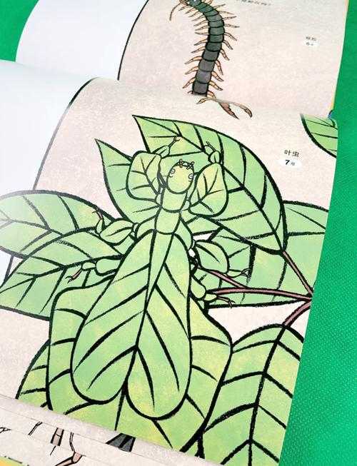2025年昆虫发声全解析 自然界的声波密码与生存法则