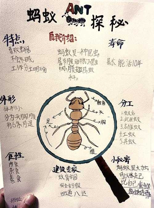 2025年昆虫发声的生存智慧与生态价值