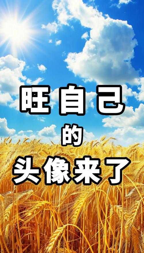 2025年智能头像使用全指南 你的数字分身正在进化