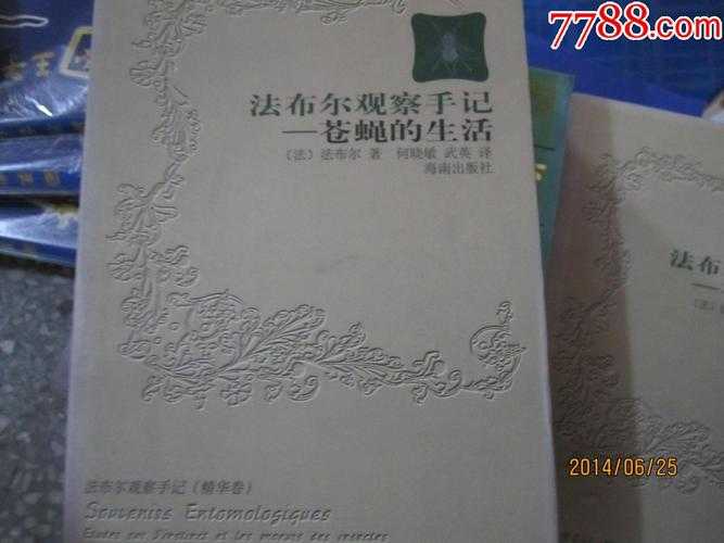 2025年智能设备生态观察手记