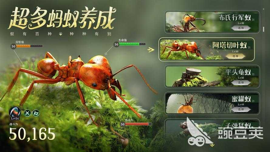 2025年最上头的进化类游戏推荐