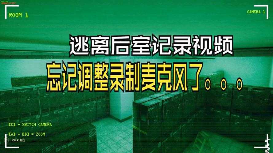 深入后室的中文设置方法与技巧