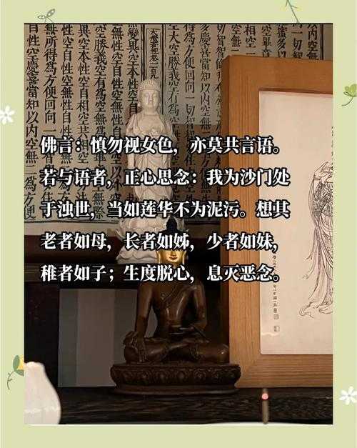 《玉女心经之莲观音》修行者的生活指南：如何平衡工作和修行？