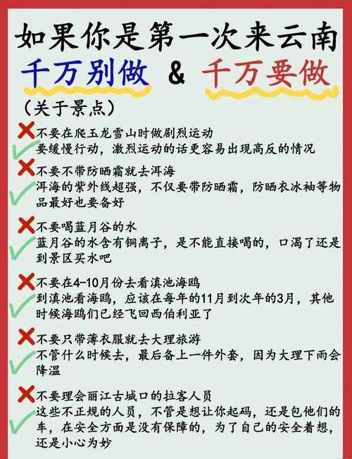 第8天攻略:详细指南与实用技巧