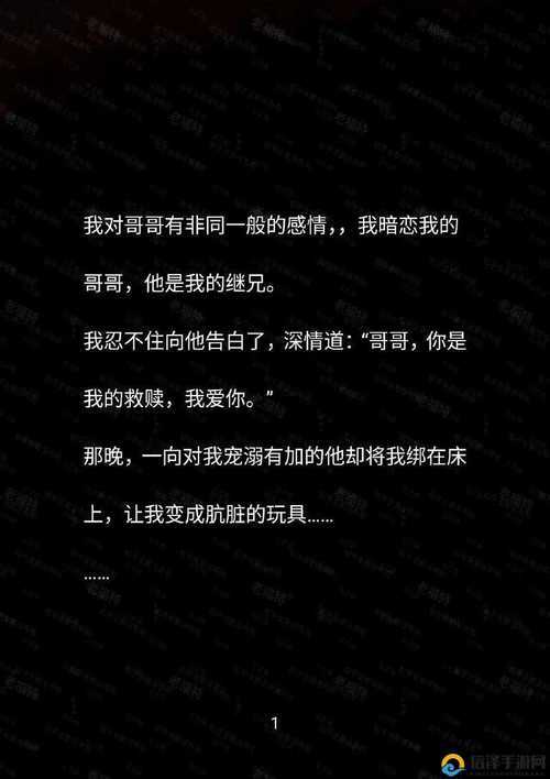 车速很高的 R 文双男：激情与速度的碰撞