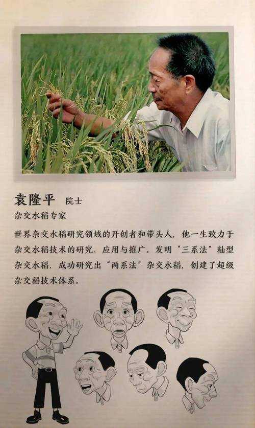 杂交水稻之父生平贡献