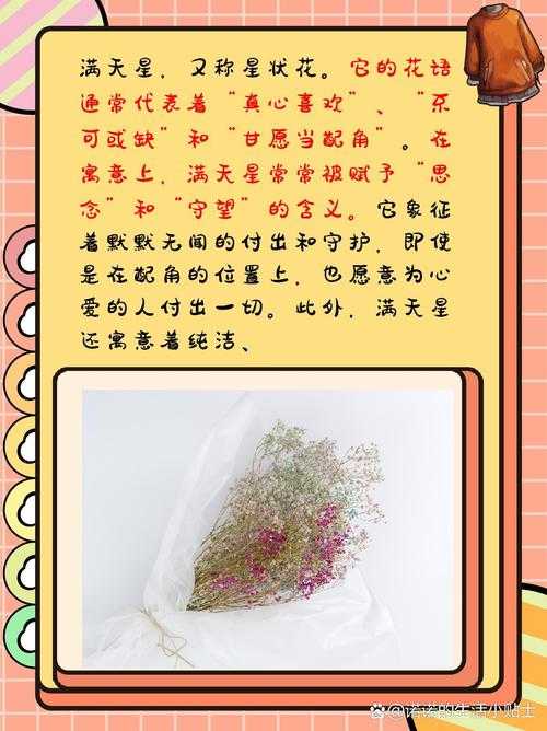 满天星花语深意何在-繁星点点的情感世界之谜