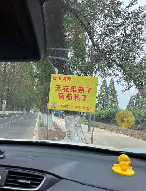 红石榴村旅游攻略：必去景点与美食打卡指南