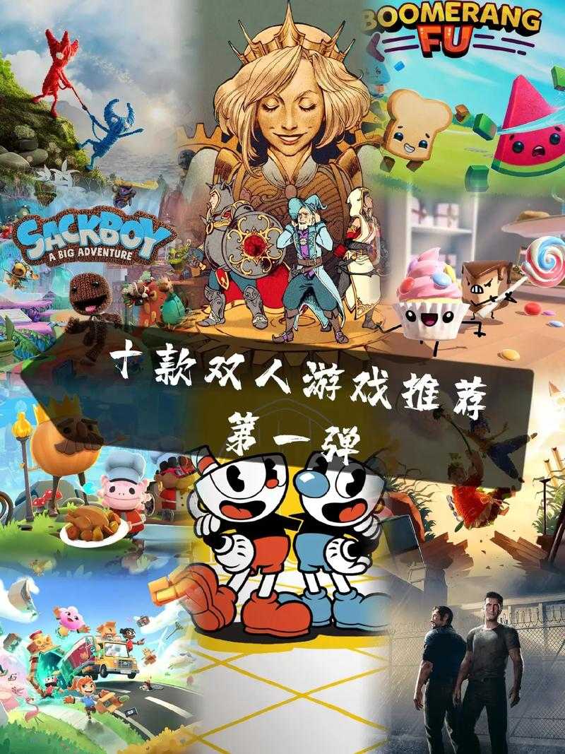 2025年最值得入手的20款双人离线游戏推荐