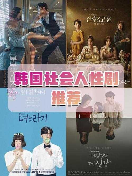 韩国理论大全,探索韩国家庭剧对社会文化的深刻影响