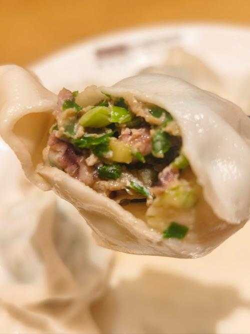 肉馅水饺作品集:美食与创意的交融
