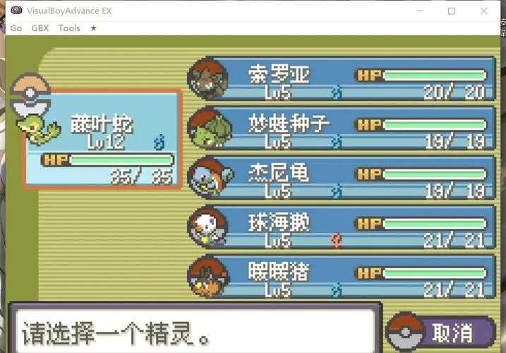 口袋妖怪漆黑的魅影冲浪术2025年5月获取指南