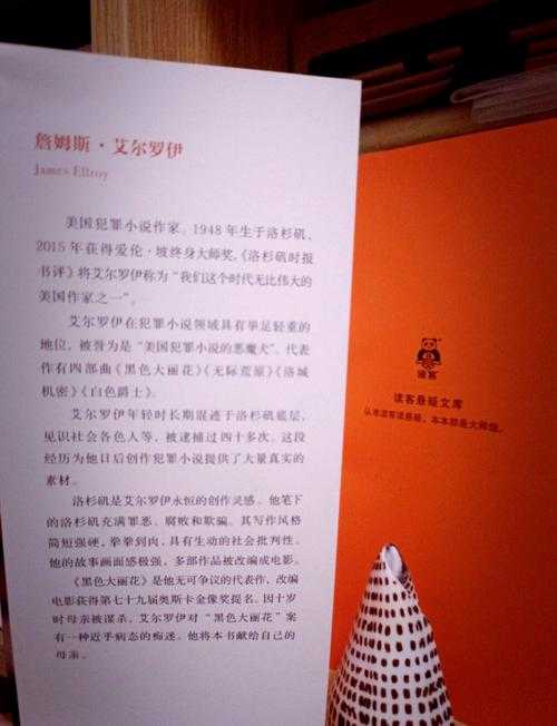 黑色大丽花悬案:未解之谜与真相探索