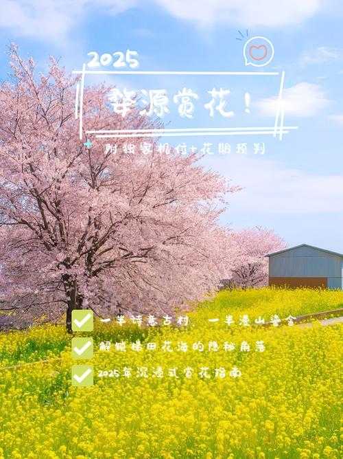 高清全纪录:沉浸式赏花之旅,从种植技巧到艺术鉴赏,解锁丁香花全攻略!