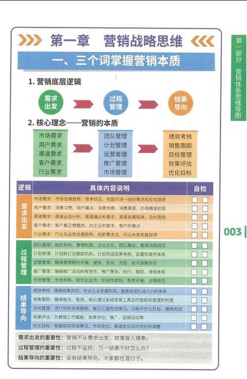 高效的市场运作:精准的营销策略与快速反应能力