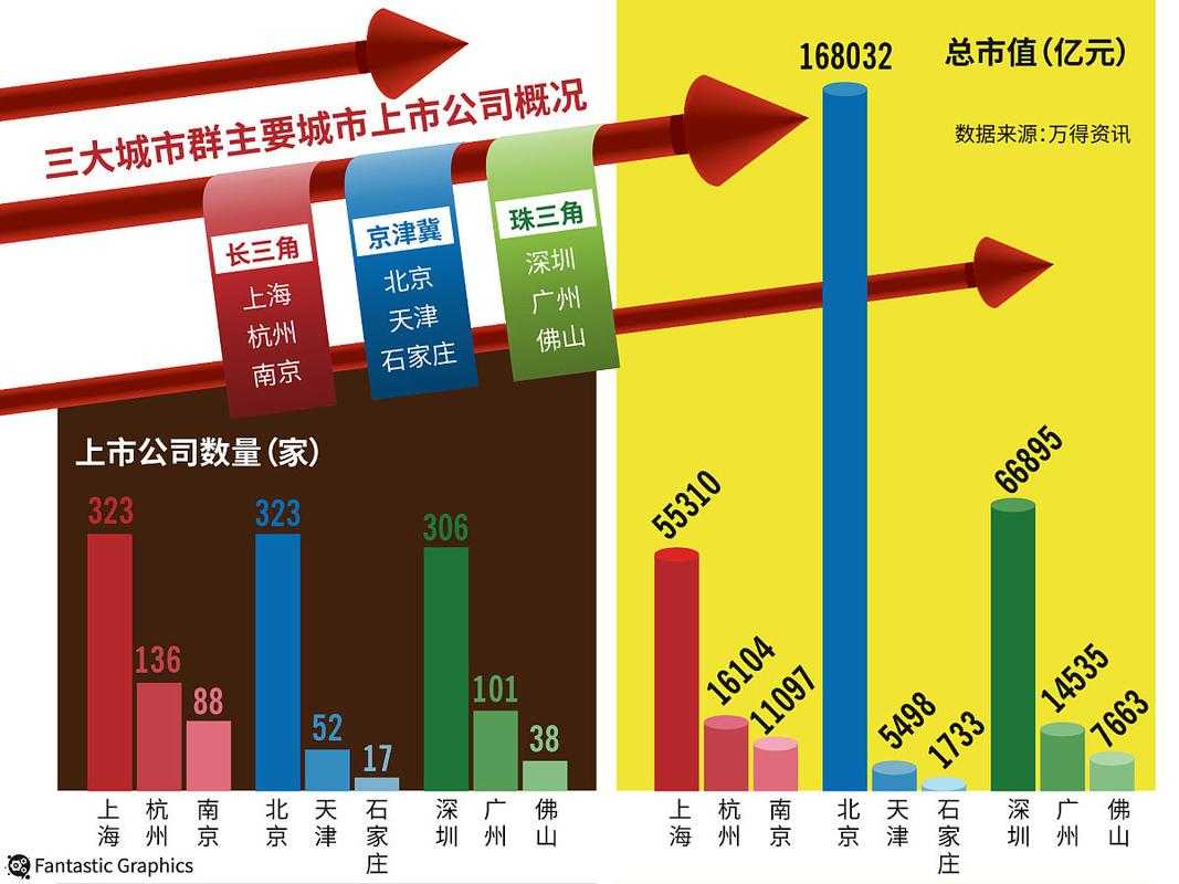 国内细分市场战略布局:一二三区竞争路径与未来增长趋势分析