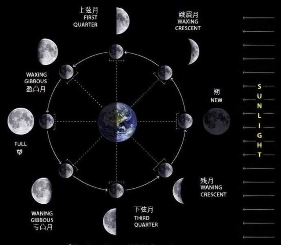 11月8日天文奇观:月食的科学原理与观测指南