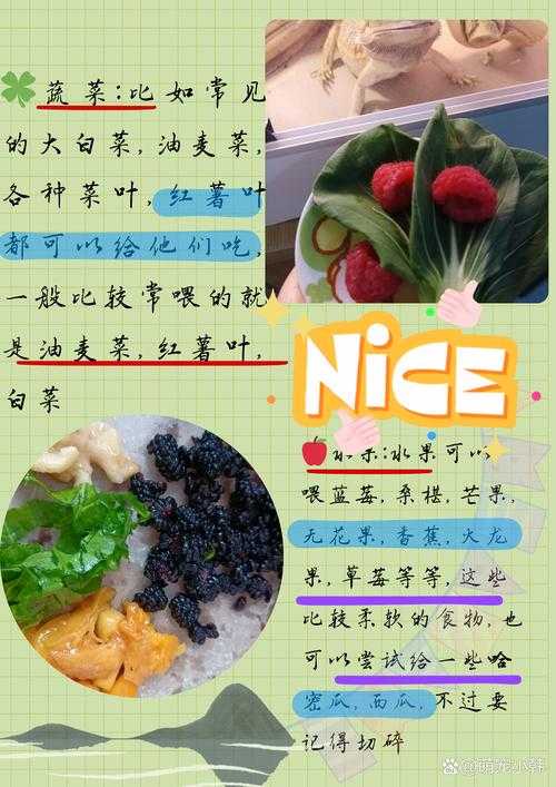 蜴字在语言交流中的角色?