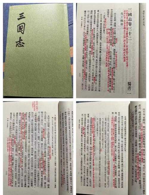 从零开始掌握《三国志老版》技巧