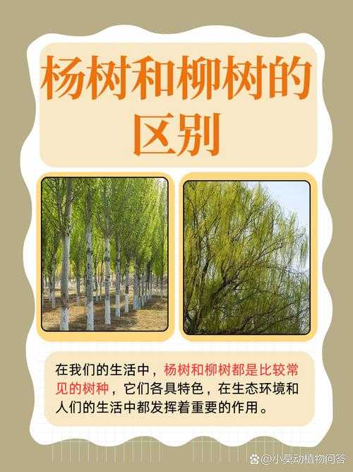 杨树的生长特性与园林应用价值解析