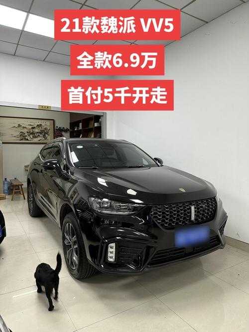 限时免费试驾Wey VV5国产SUV 网友热赞'真是个好机会