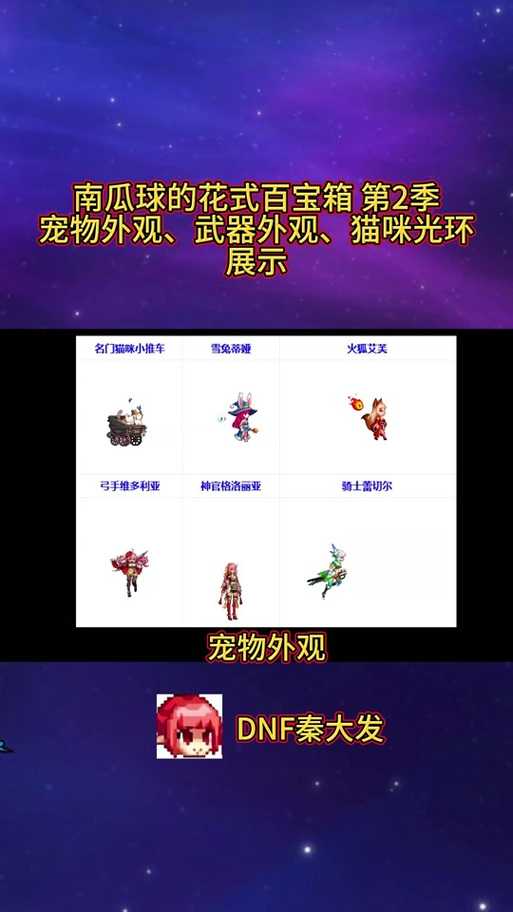 2025DNF名门猫咪套装销量设计亮点解析