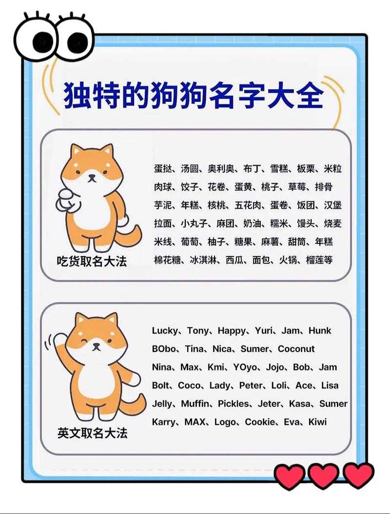 独特好听的狗狗名字大全,萌宠取名必备