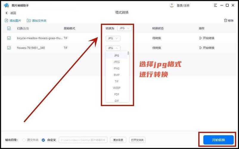 TIF文件编辑教程:文字版详细步骤指南