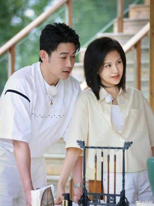 陆毅主演电视剧推荐:经典角色与最新作品盘点