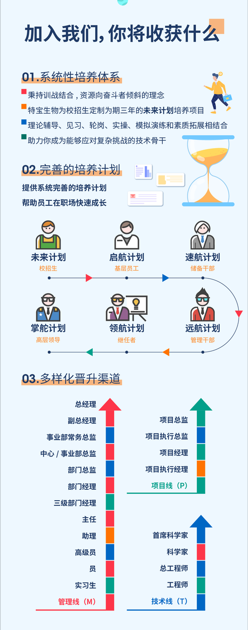 宝拉2025年5月培养全解析:技能机制与实战搭配