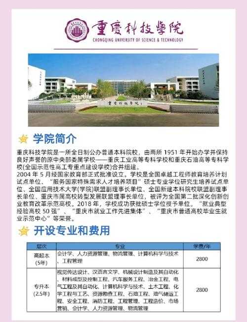 重庆科技大学的就业率高吗?