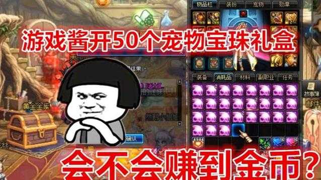 dnf礼盒宠物为什么不加技能