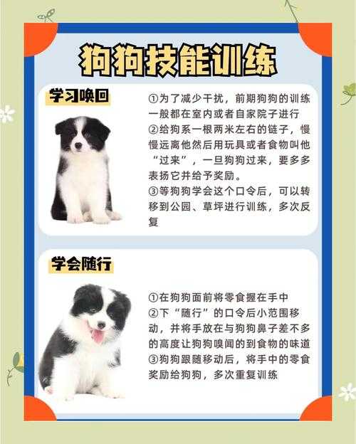 如何有效安排时间使用炼兽笼,让宠物成长更快?修炼时长建议与效率考量