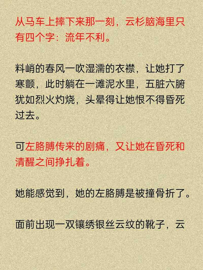 陈凡苏若初小说全本免费在线阅读
