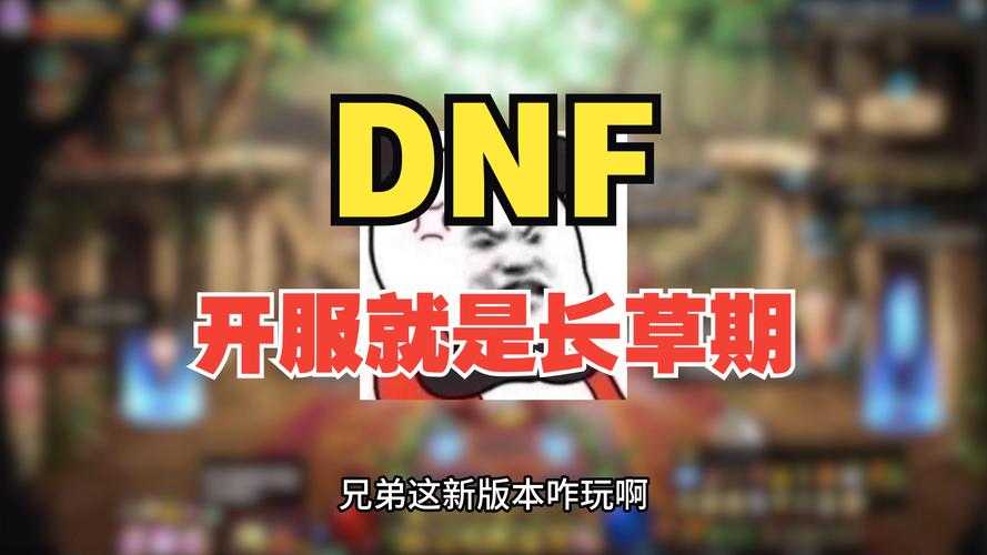 2025《DNF刃之决意》深度观察:版本革新与生态影响