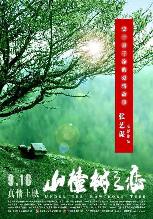 电影《山楂树之恋》值得观看吗?