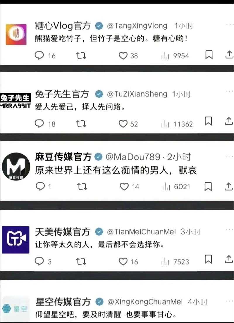 麻豆精品秘 国产传媒21:优缺点解析,让我更了解选择