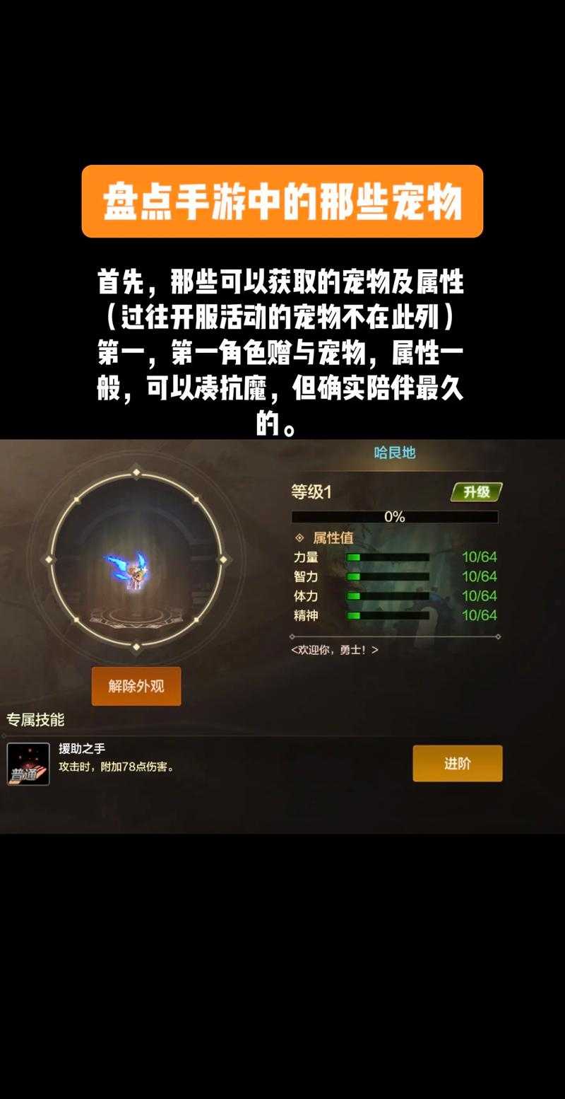 DNF第9期战令宠物值不值得冲?属性解析