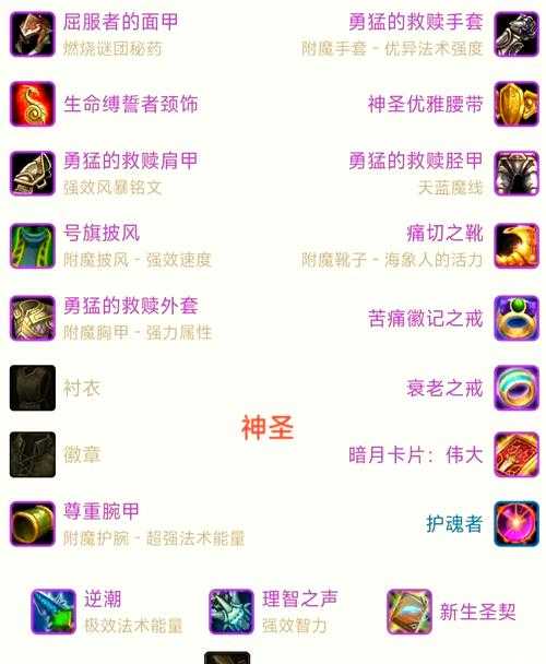 如何合理分配审判圣骑士的加点以提升角色能力？