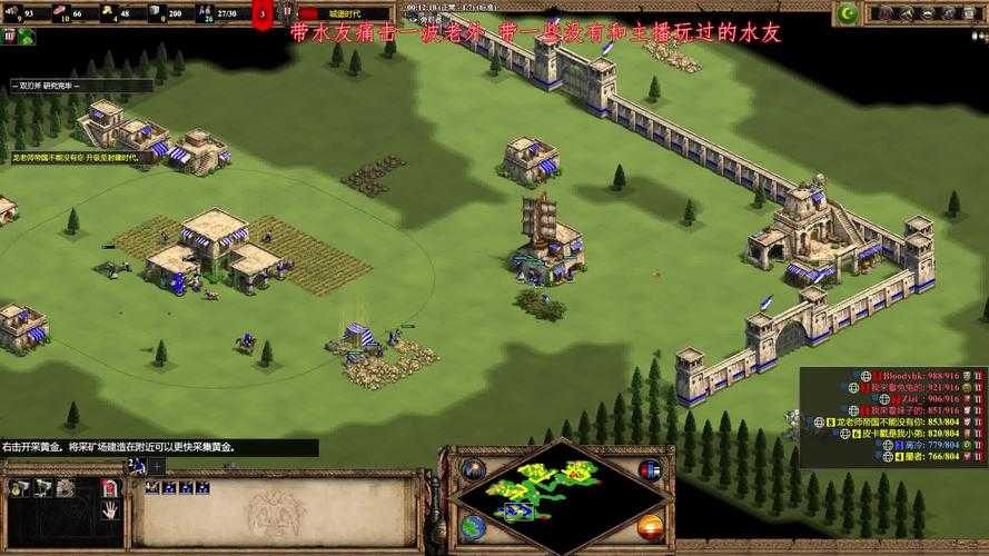 新手必知:帝国时代2秘籍作弊码大揭秘