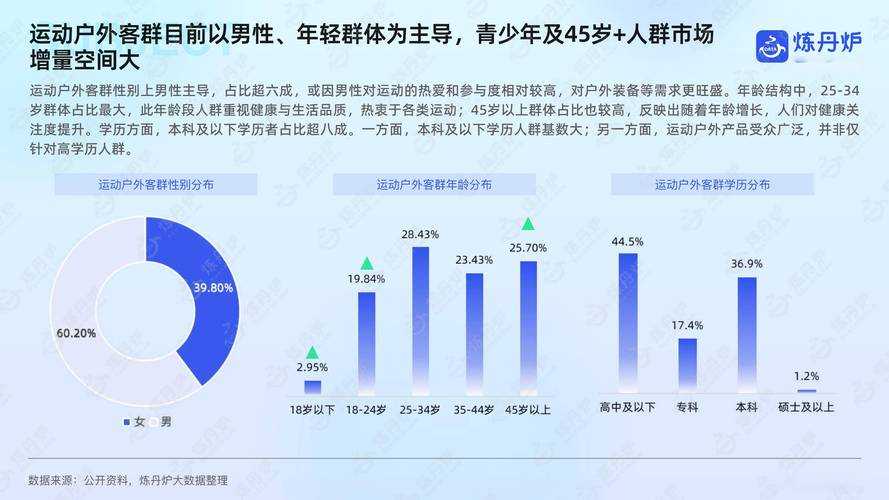 2025百度输入法手机端市场功能升级与用户洞察